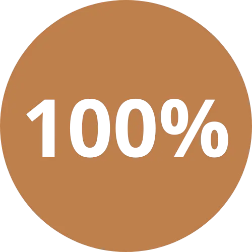 100 % Des projets livrés dans les délais convenus