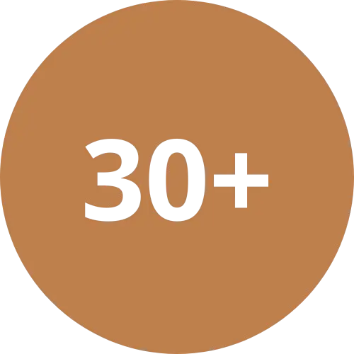 30 + Villas construites depuis 2019